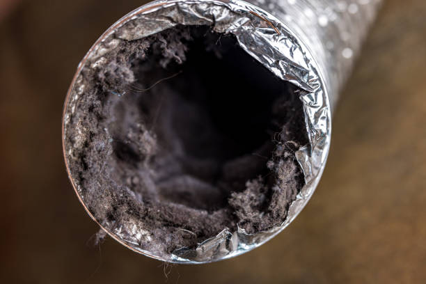 Best Air Duct Mold Removal  in Flemington, PA